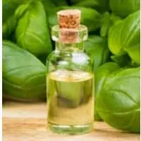 Basil Oil