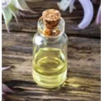 Clary Sage Oil