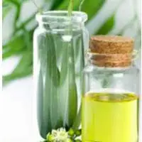 Eucalyptus Oil