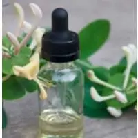 Honeysuckle Oil
