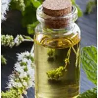 Peppermint Oil