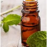 Spearmint Oil