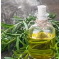 Tarragon Oil