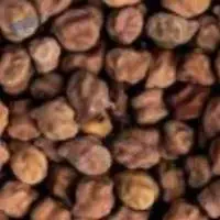 Chana