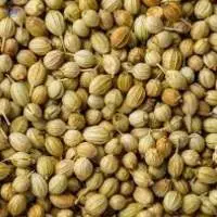 Coriander Seeds