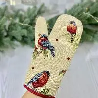 Oven Mitten