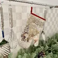 Oven Mitten