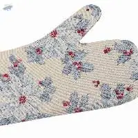 Oven Mitten