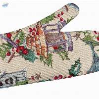 Oven Mitten