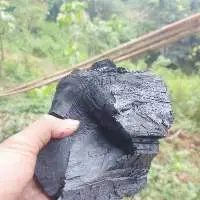 Mahagony Wood Charcoal