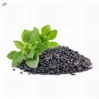 Basil Seeds