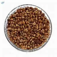 Charoli Seeds