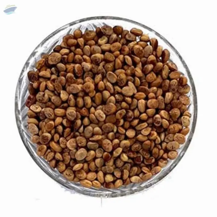Charoli Seeds