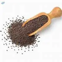 Mustard Seeds (Raida)