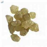 Gum Damar (Billi Dhoopa)