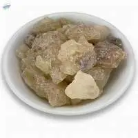 Gum Copal (Chandrus)