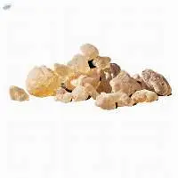 Damar Batu Regular (Dhuna)