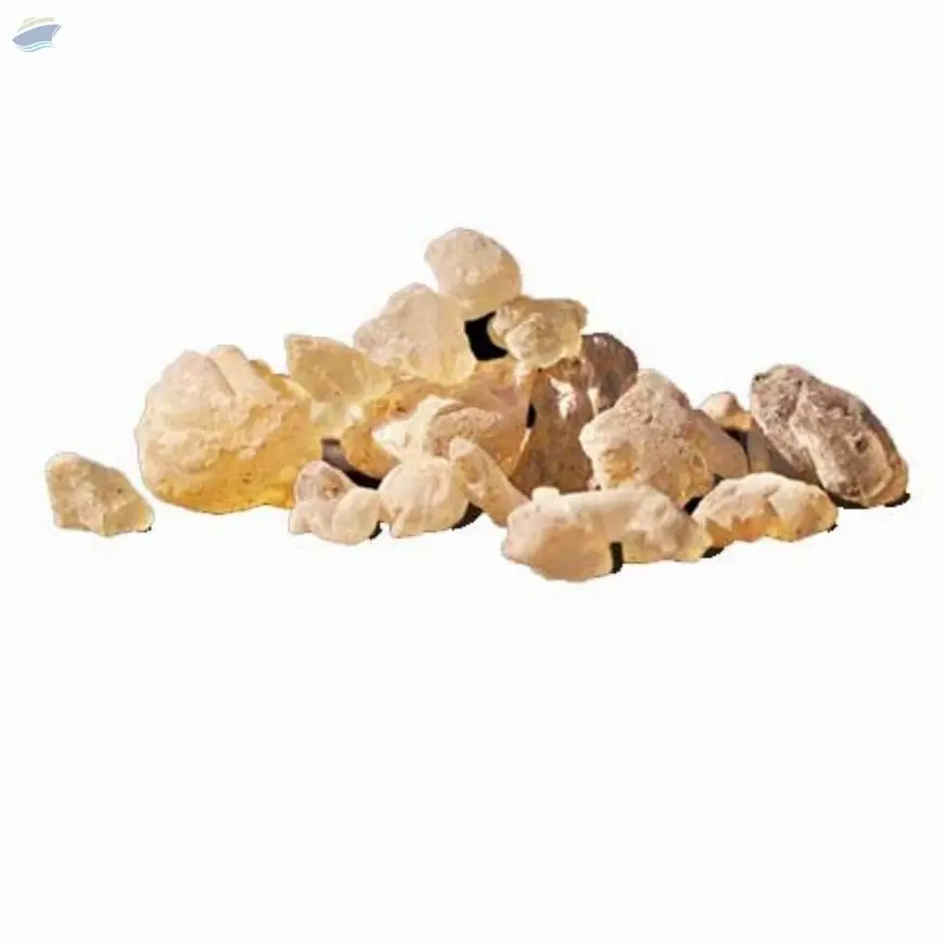 Damar Batu Regular (Dhuna)