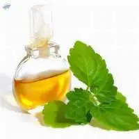 Patchouli Oil Pure 30% PA