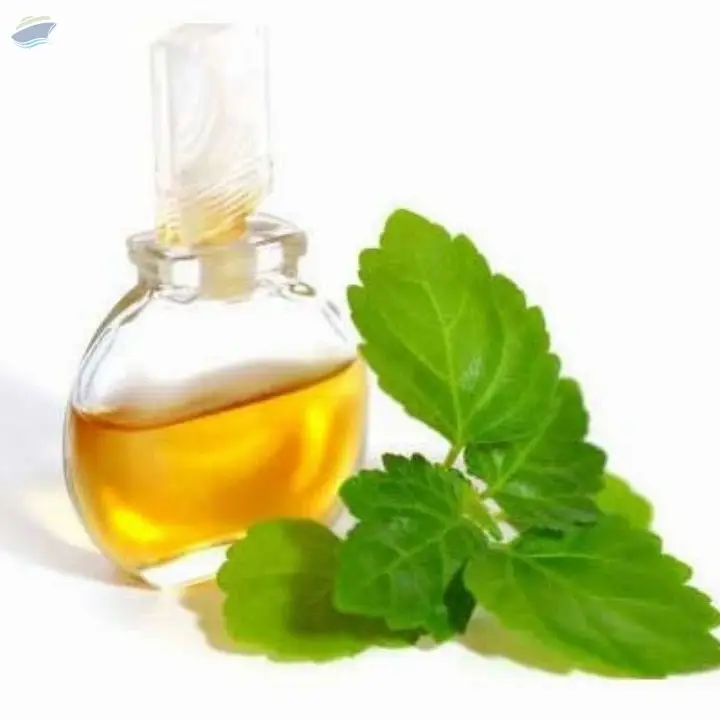 Patchouli Oil Pure 30% PA