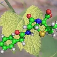 Pythochemicals