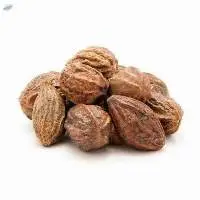 Myrobalam