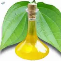Betel Leaf Oil Distillers
