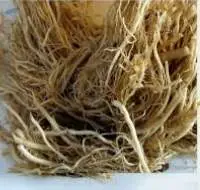 Valarian Root Oil
