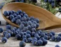 Juniper Berry Oil