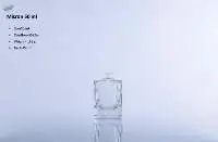 Bottle 50ml Micron