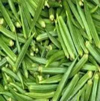 Okra/Lady Finger