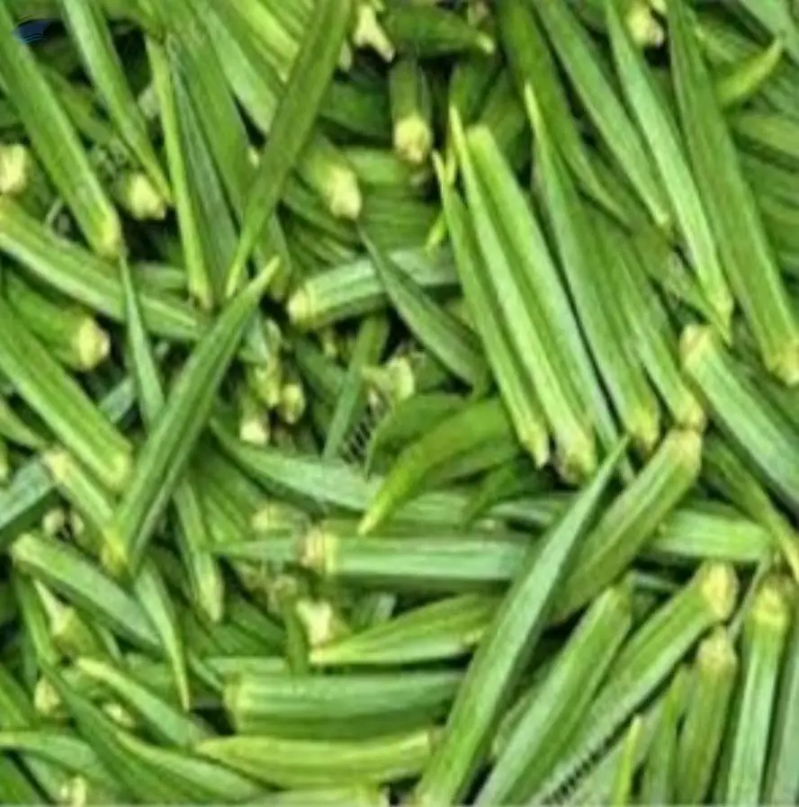 Okra/Lady Finger