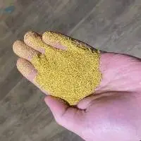 Corn DDGS