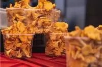 Chanterelles