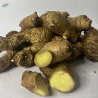 Aromatic Ginger