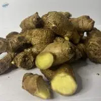 Aromatic Ginger