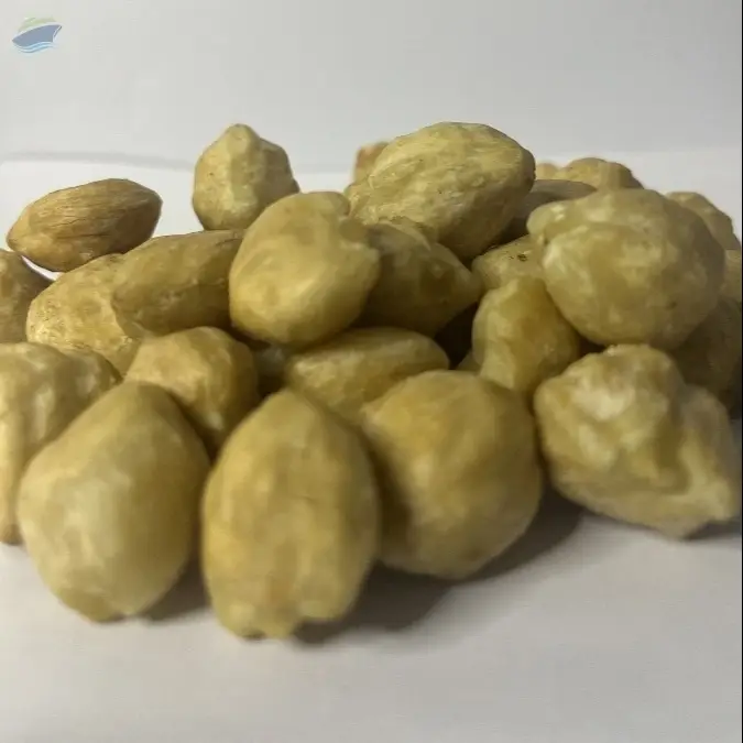 Candlle Nut