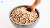 Red / White Sorghum