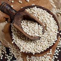 Red / White Sorghum
