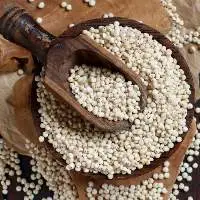Red / White Sorghum