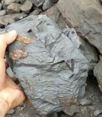 Indonesia Steam/Thermal Coal