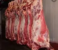 Buffalo Frozen Meat
