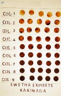 Buffalo/Ox Horn Button Blanks