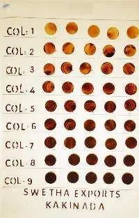 Buffalo/Ox Horn Button Blanks