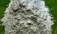 Maida