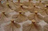 Palmyra Fiber
