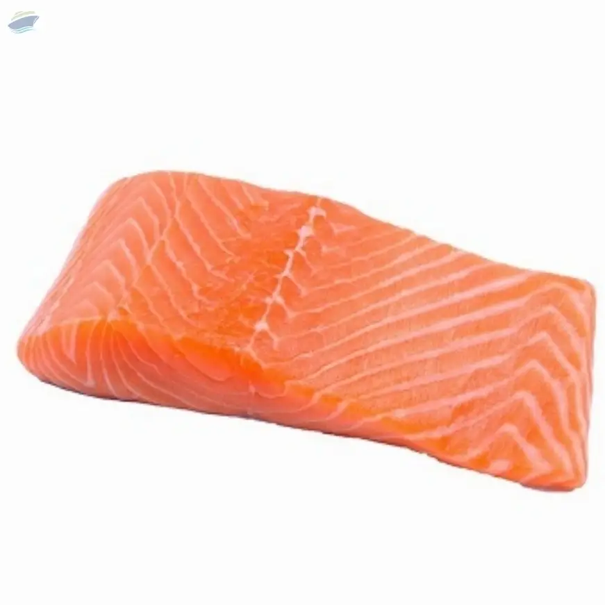Frozen Chum Salmon Fillet