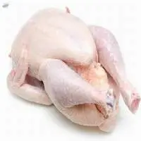 Halal Certified Frozen Whole Chicken