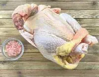 Halal Frozen Spent Hens