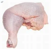 Halal Frozen Chicken Leg Quarters 